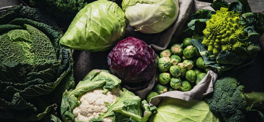 The best varieties of cabbage