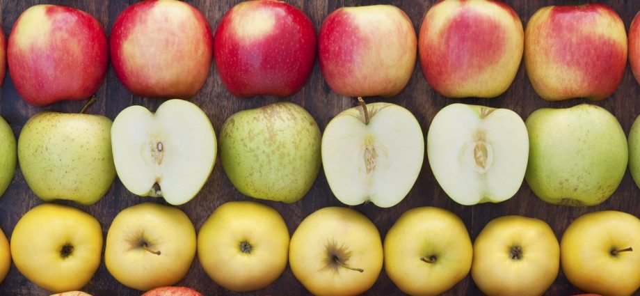 The best varieties of winter apples