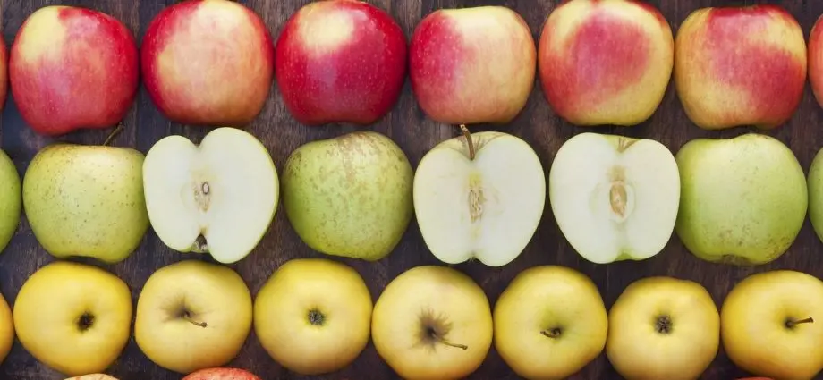 The best varieties of winter apples