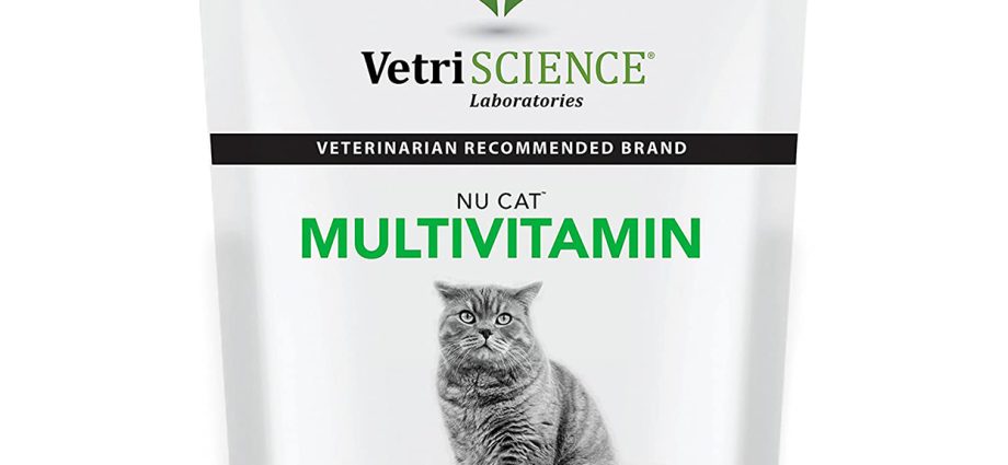 Geriausi vitaminai katėms ir katėms