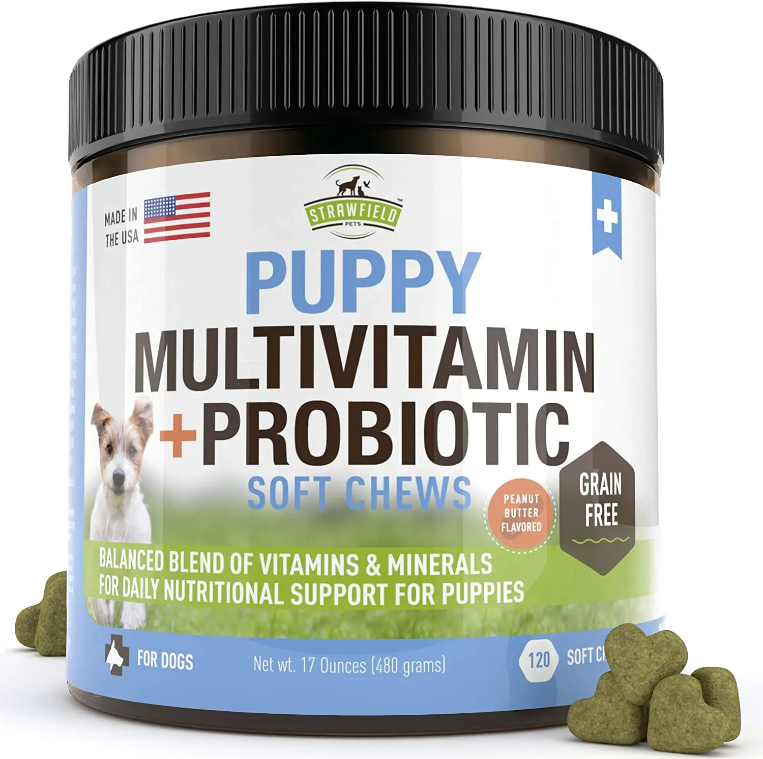 The Best Vitamins for Dogs