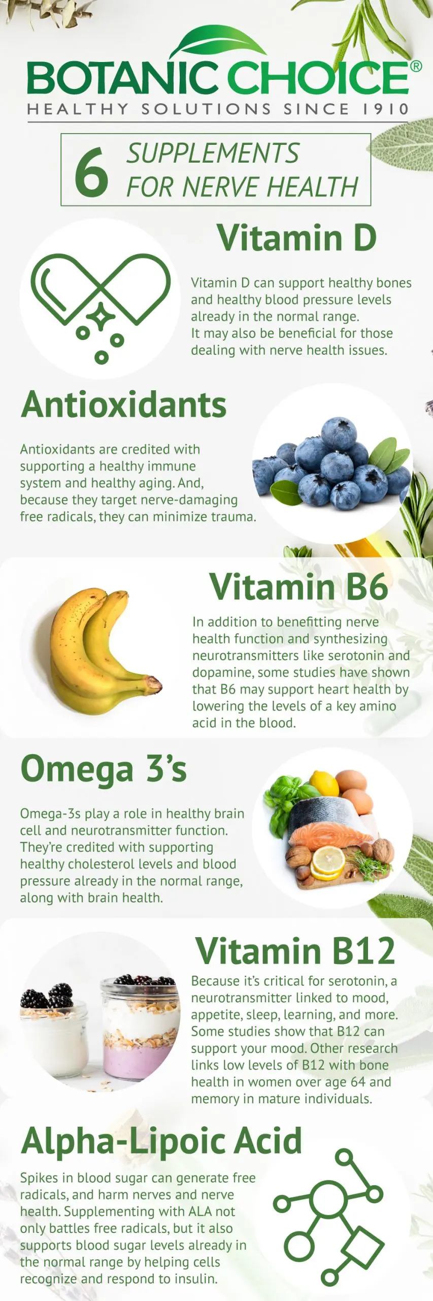 The best vitamins for the nervous system for adults