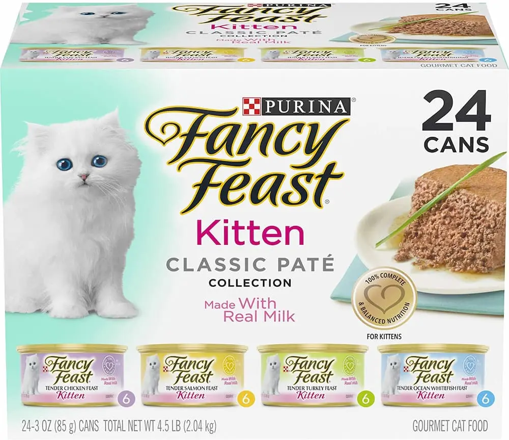 The Best Wet Foods for Kittens in 2022