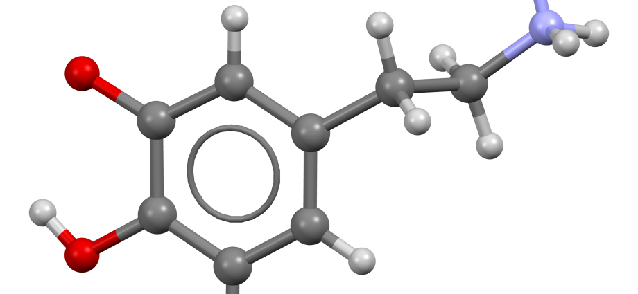 The hormone dopamine