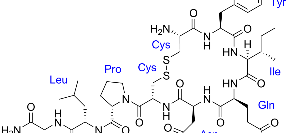 The hormone oxytocin