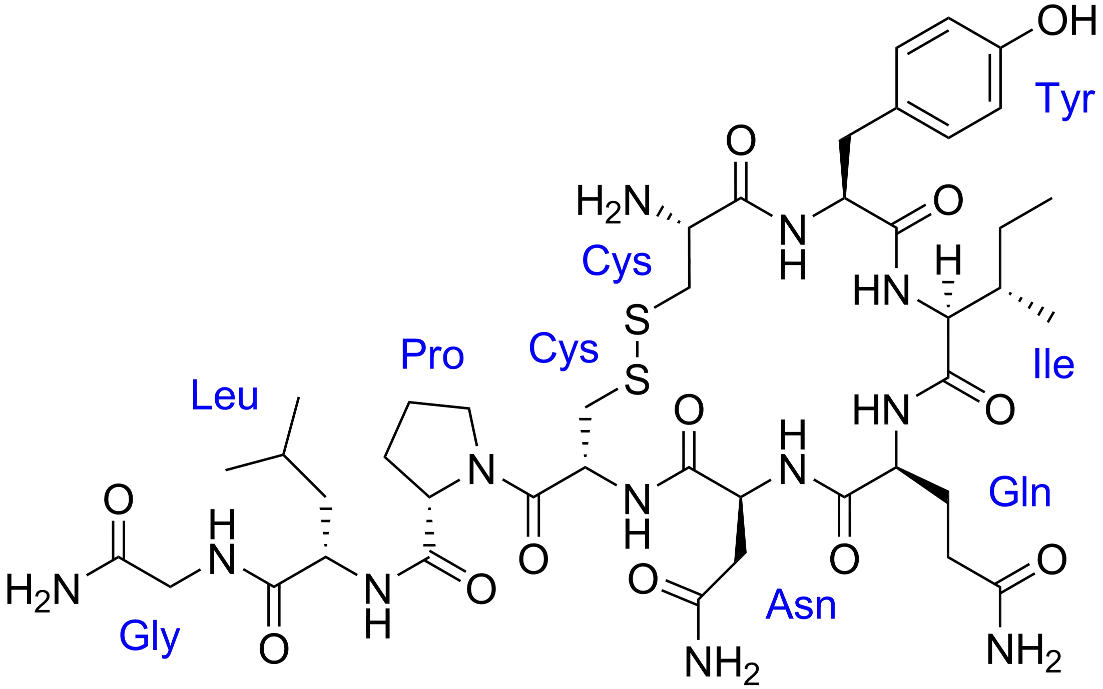 The hormone oxytocin