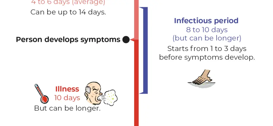 The incubation period of coronavirus in humans