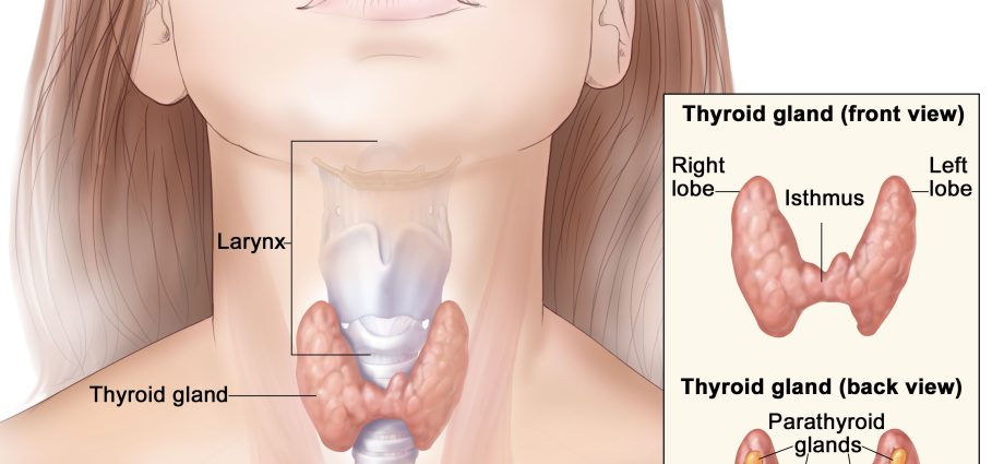 Thyroid Cancer