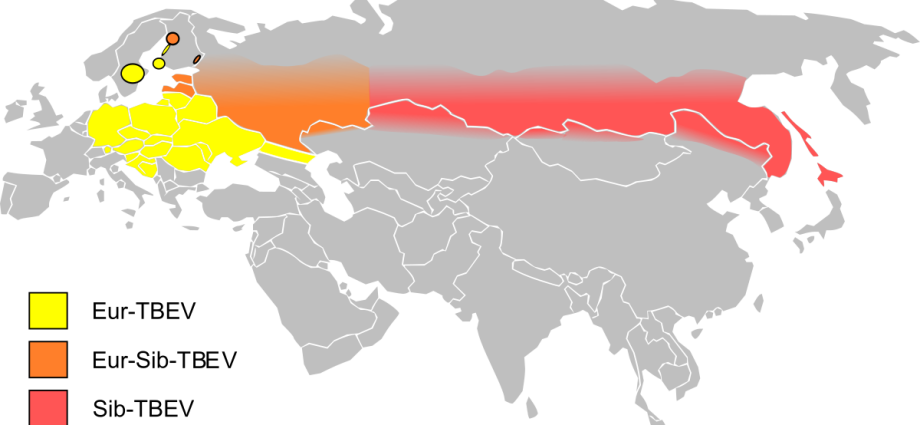 Tick-borne encephalitis