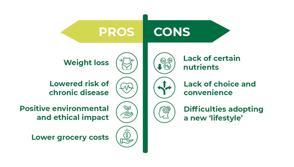 Vegetable meat: health benefits and harms