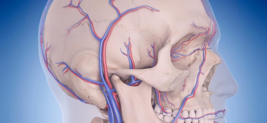 Violation of cerebral circulation in adults