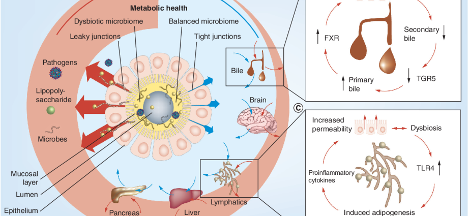 Violation of the intestinal microflora