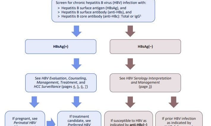 Viral hepatitis B in adults