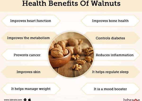 Walnut: benefits and harms to the body