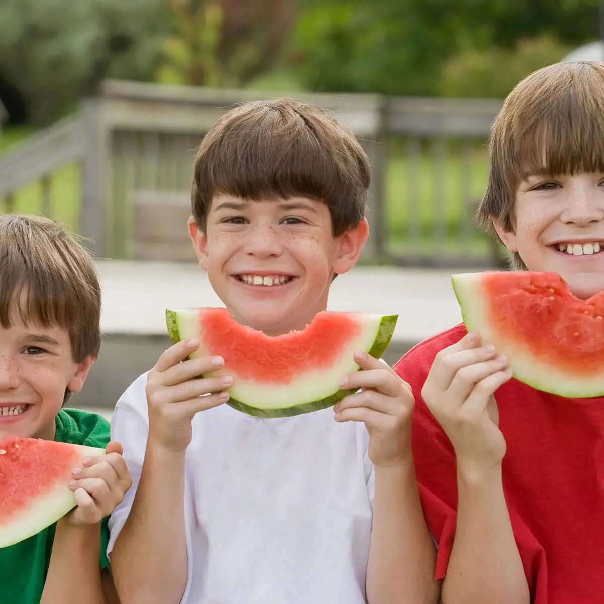 Watermelon Day 2022: history and traditions of the international holiday