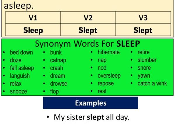 What is sleep in simple words