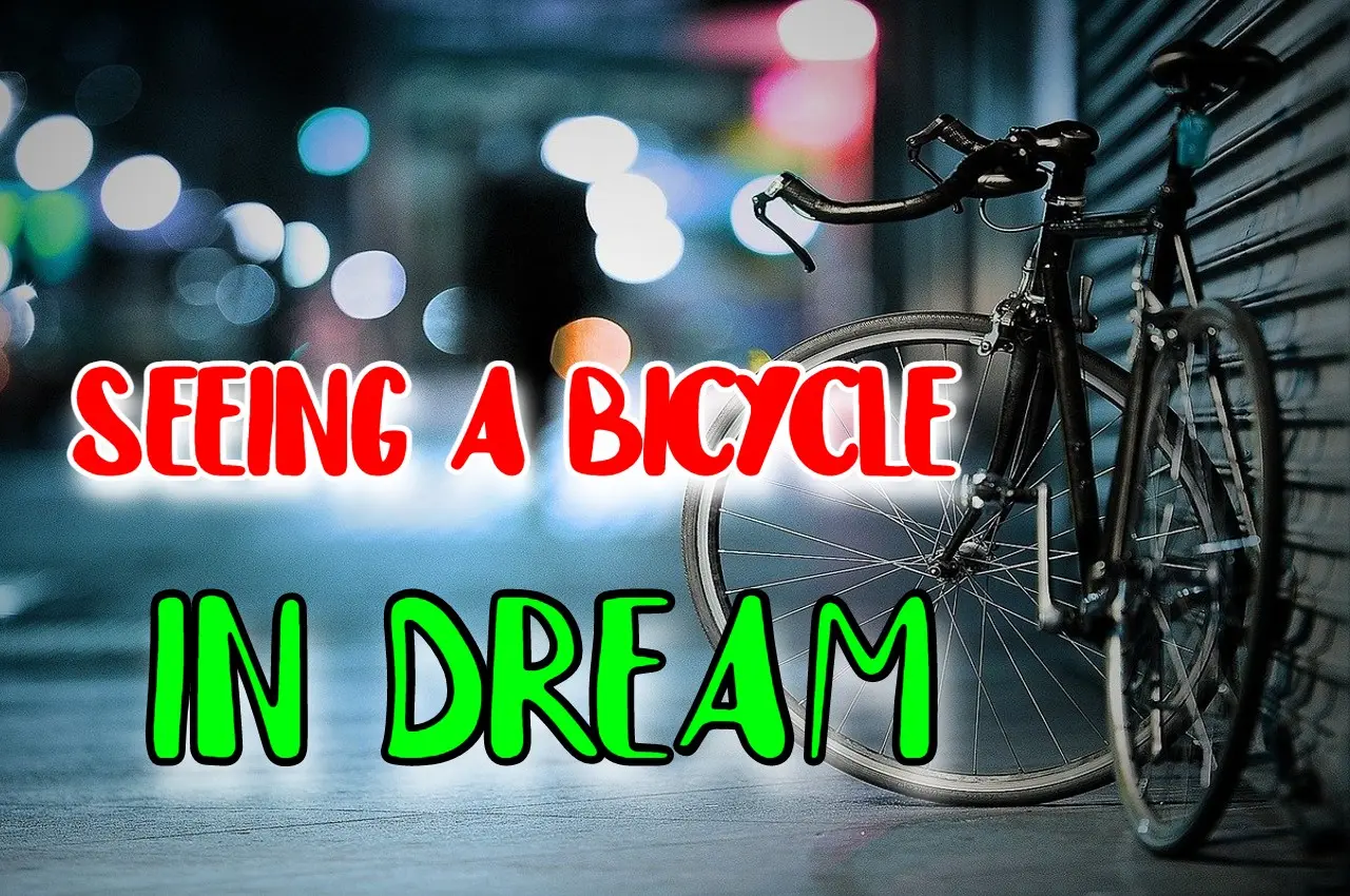 What is the dream of a bicycle