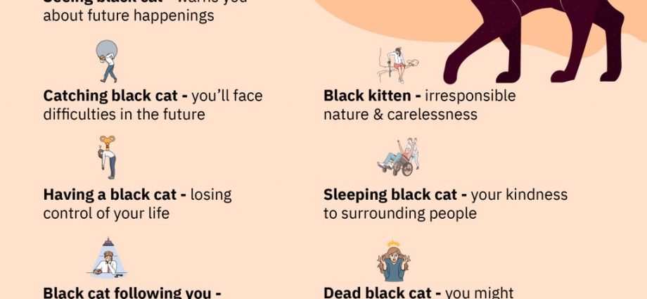 Qual é o sonho de um gato preto