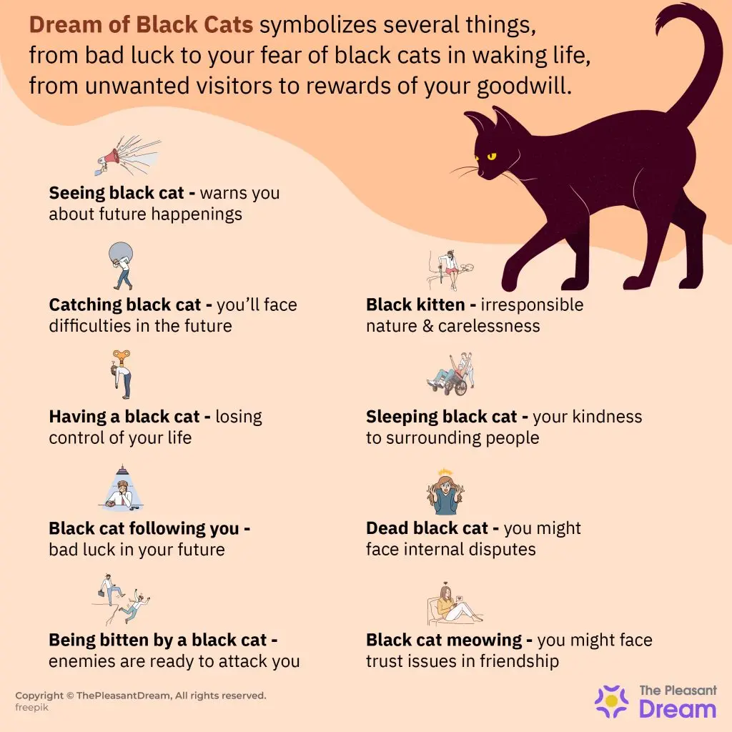 What is the dream of a black cat