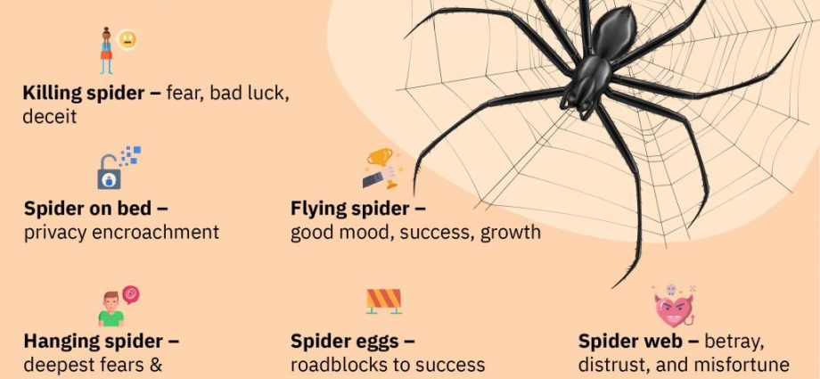 Quin és el somni de les aranyes