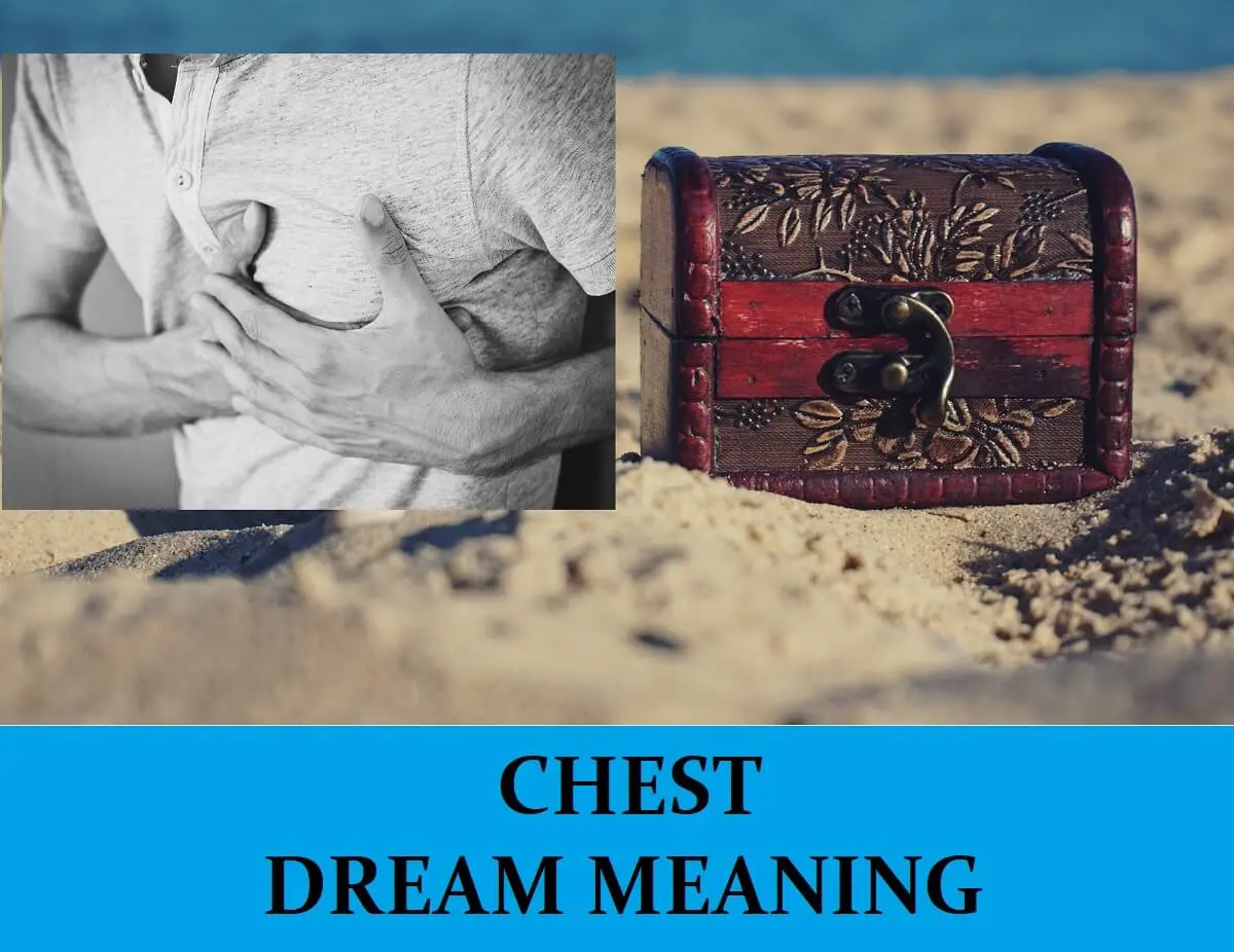 What is the dream of the chest