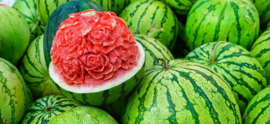 What is the dream of watermelon