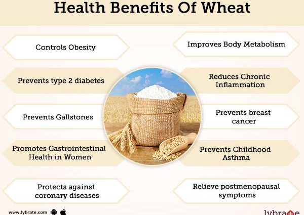 Wheat porridge: health benefits and harms