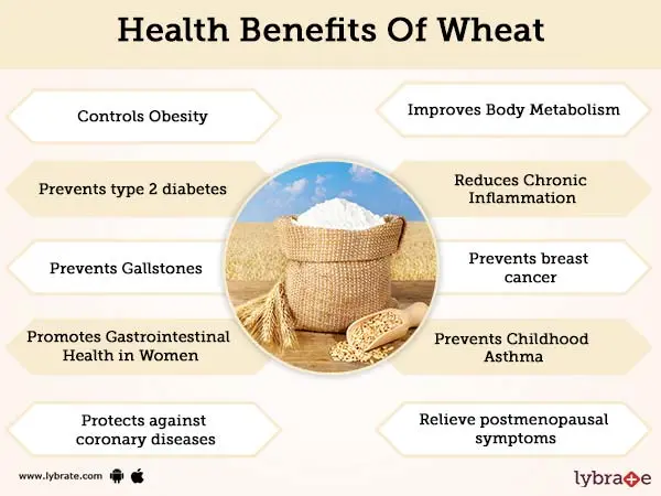 Wheat porridge: health benefits and harms