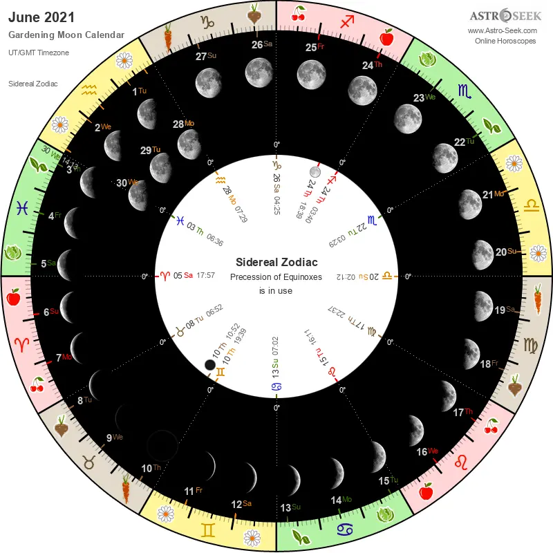 When to plant alyssum seedlings in 2022 according to the lunar calendar
