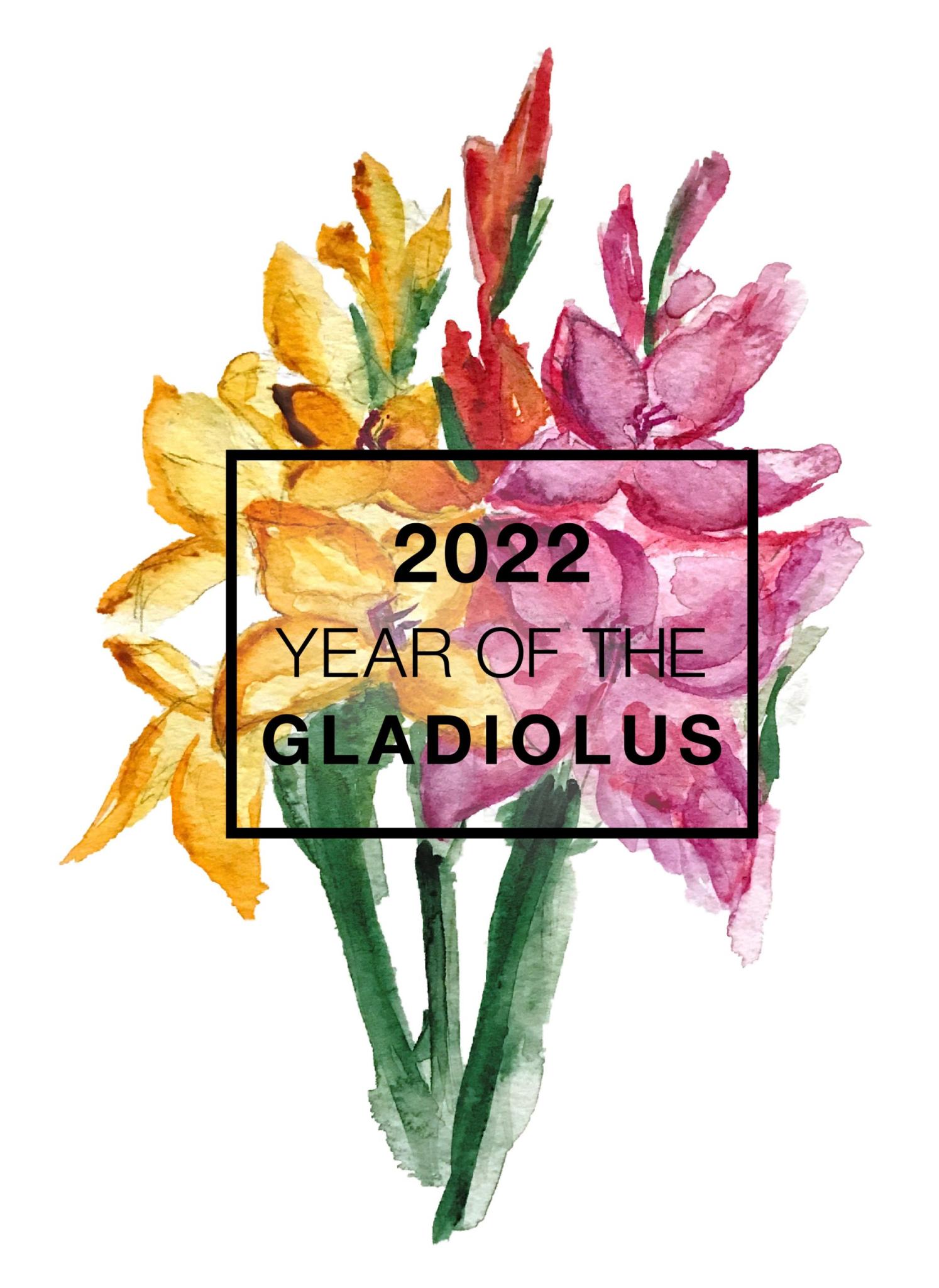 When to plant gladiolus seedlings in 2022 according to the lunar