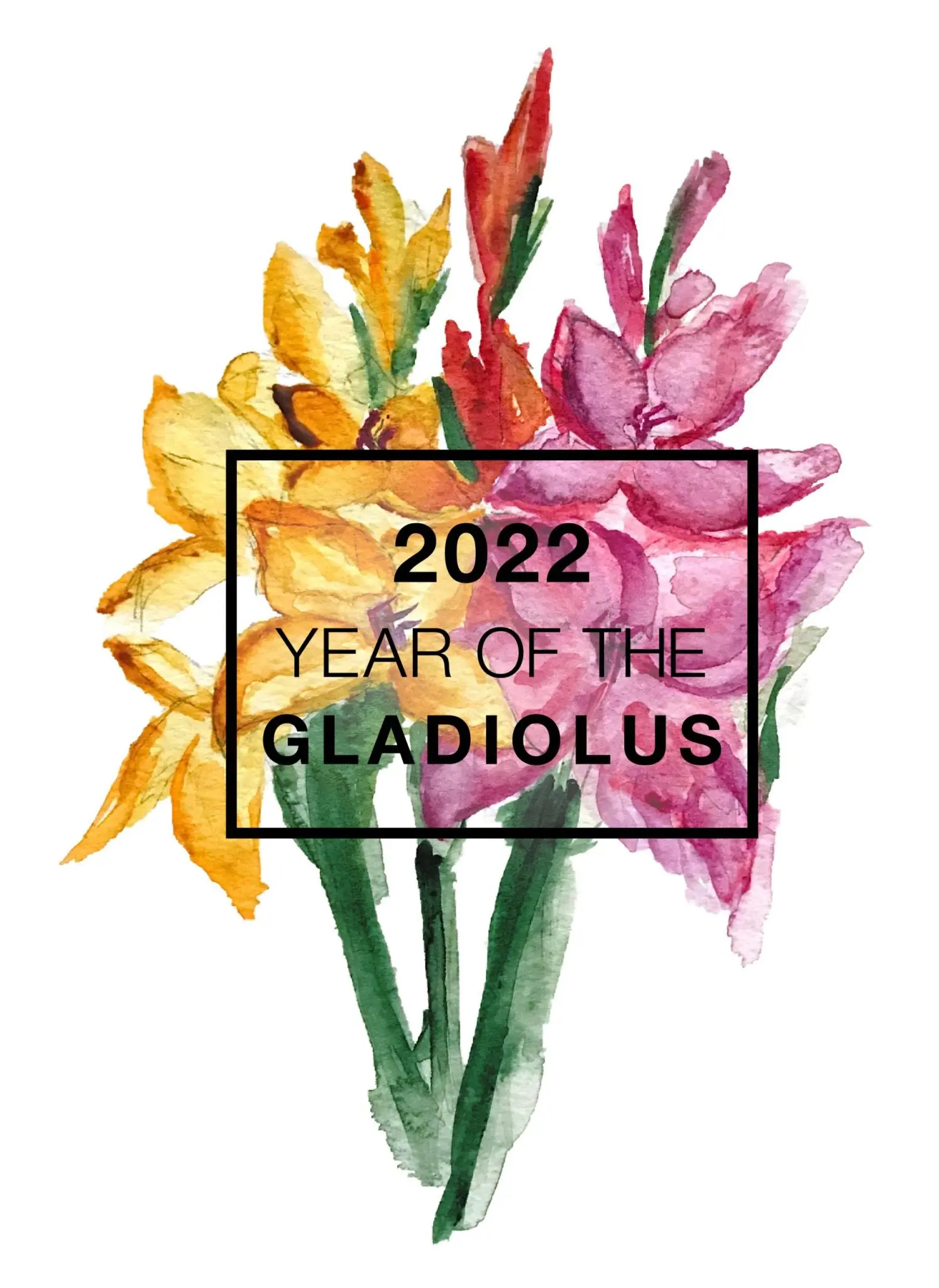 When to plant gladiolus seedlings in 2022 according to the lunar calendar