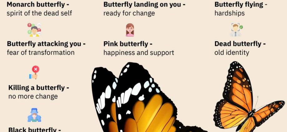 Zašto sanjaju leptiri