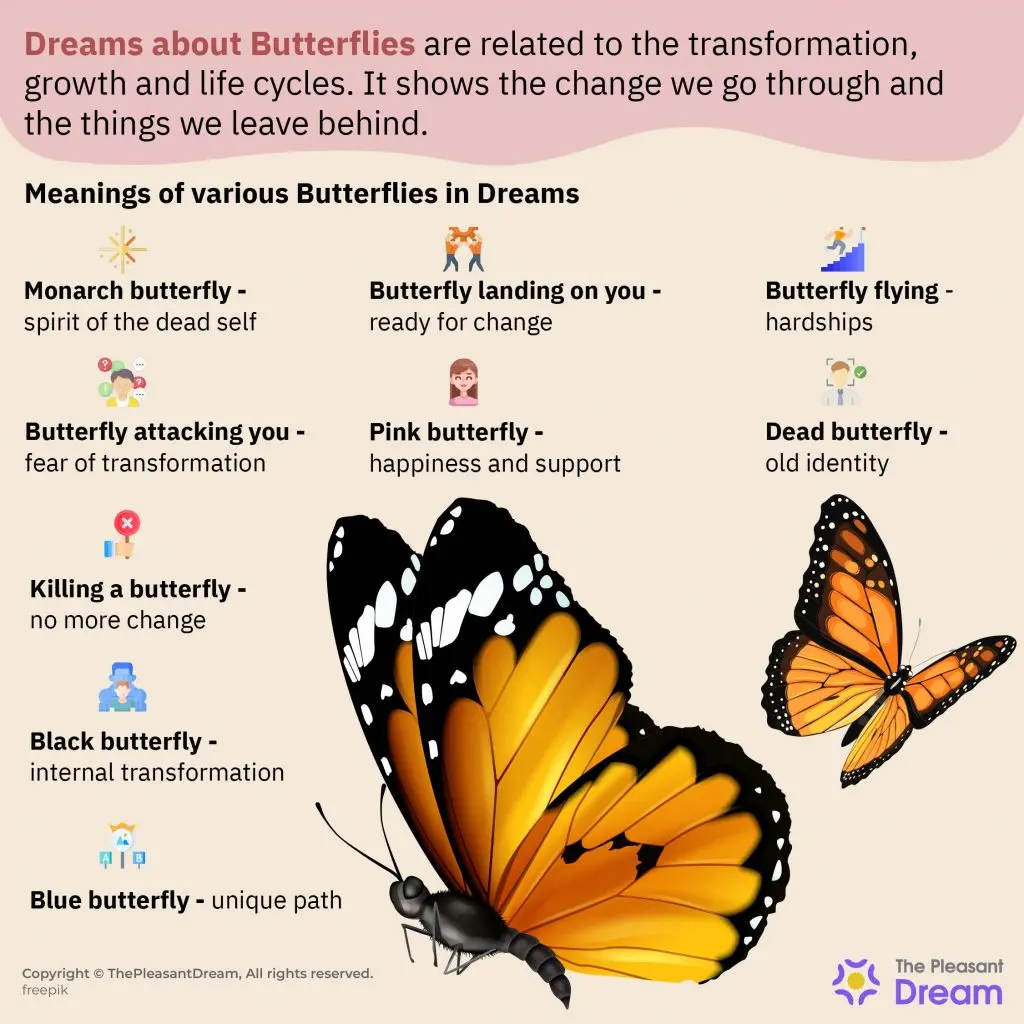 Why do butterflies dream