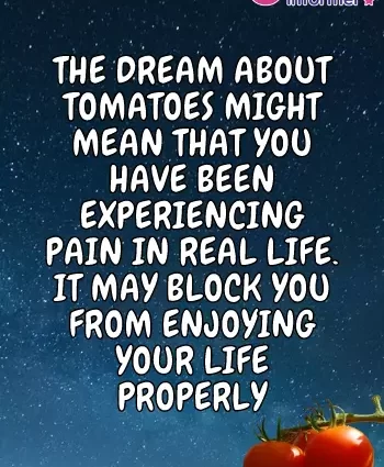 Zašto sanjaju paradajz