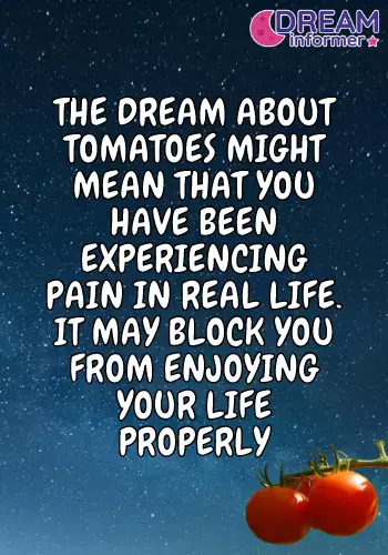 Why do tomatoes dream