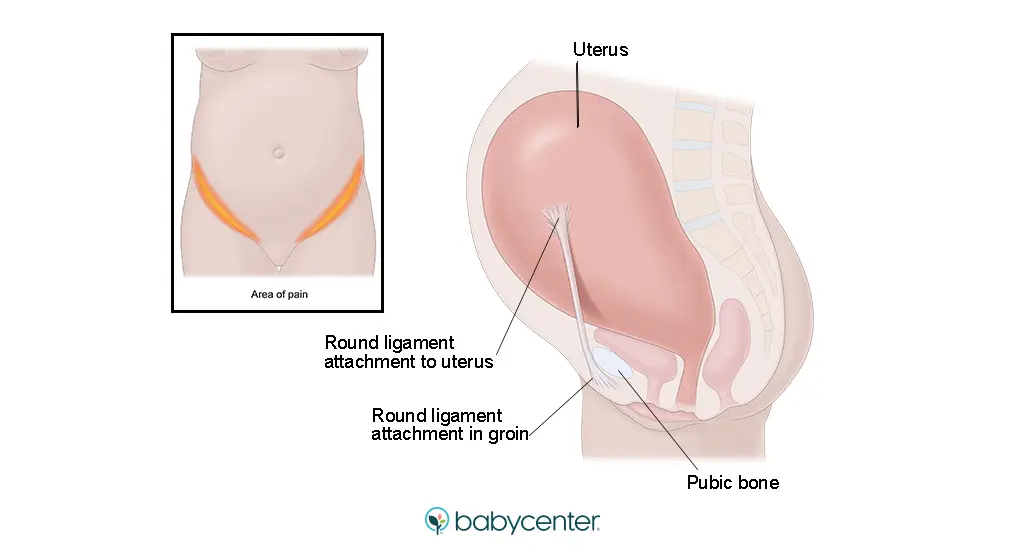 Why does the lower abdomen hurt during pregnancy