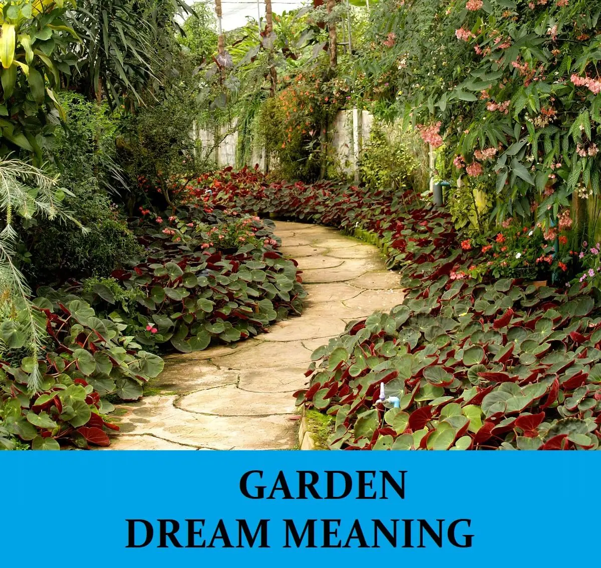 Why dream of a garden