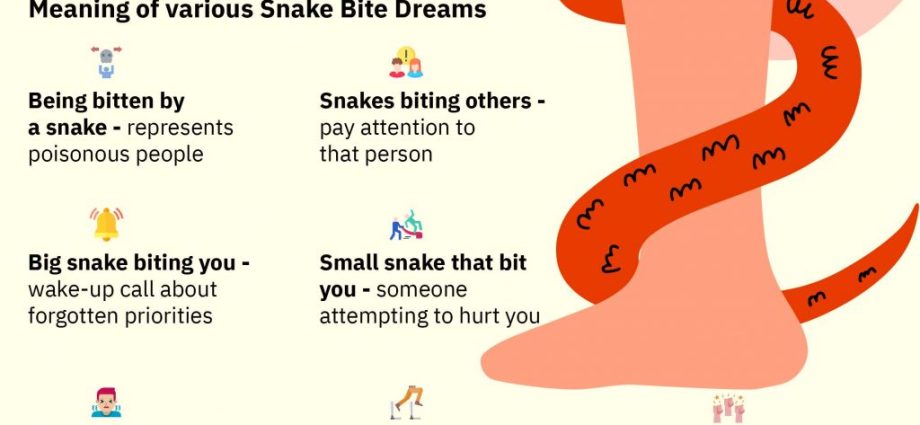 Zašto sanjati ugriz zmije