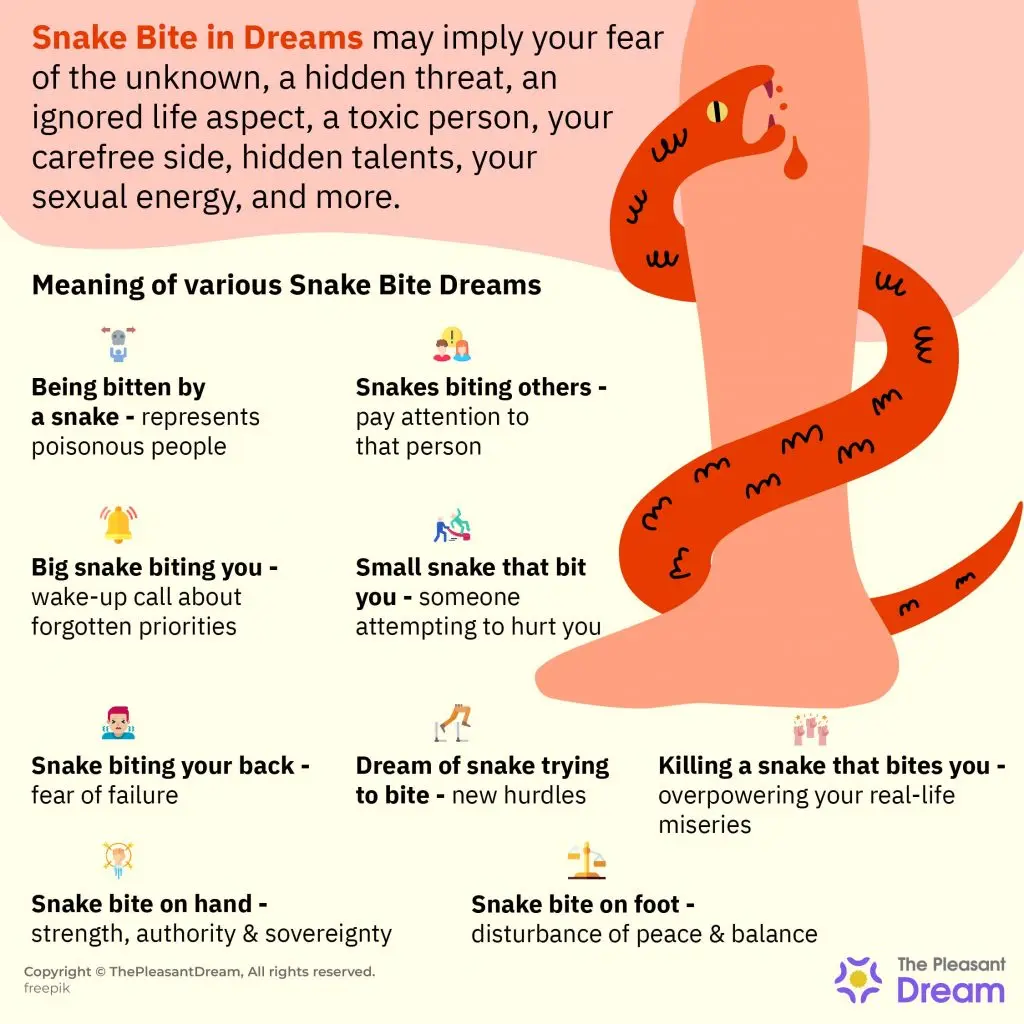 Why dream of a snake bite