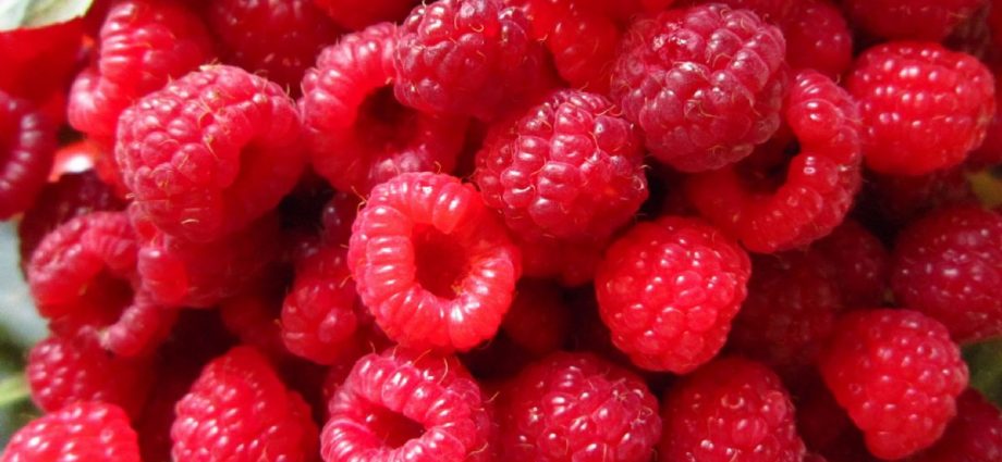 Apa ngimpi raspberries