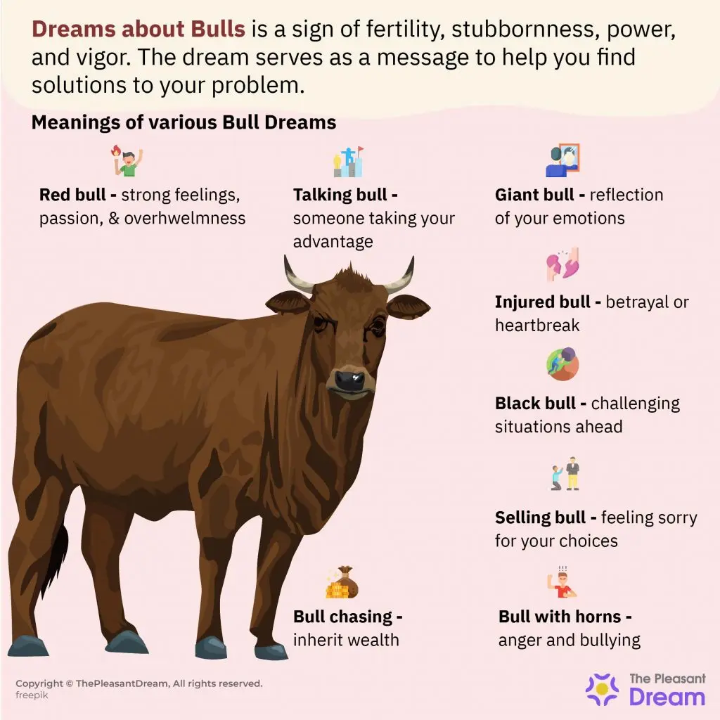 Why is the bull dreaming