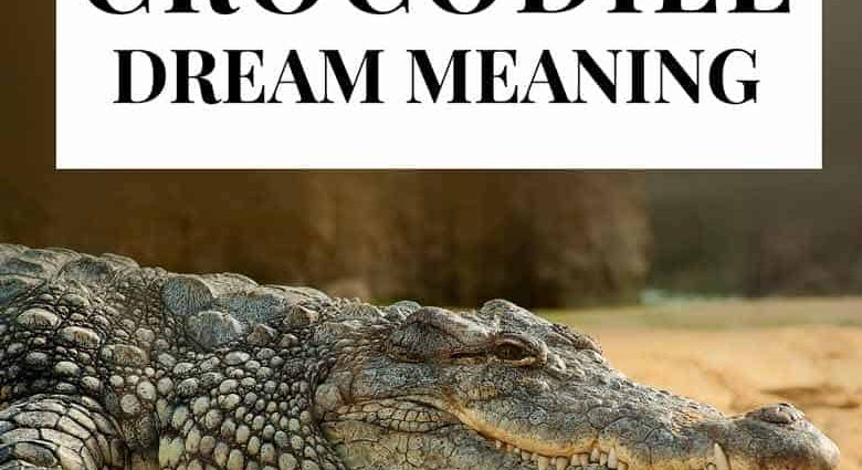 Miért álmodik a krokodil?