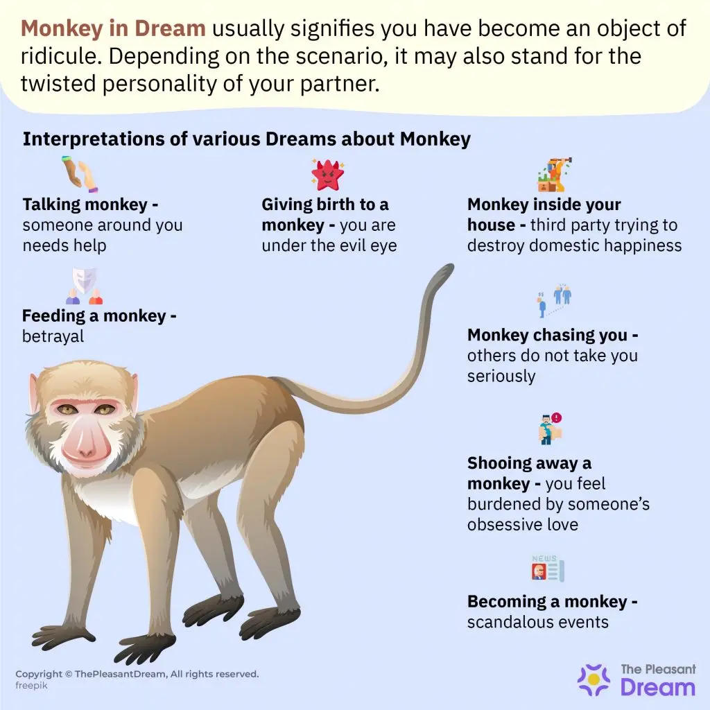 Why is the monkey dreaming