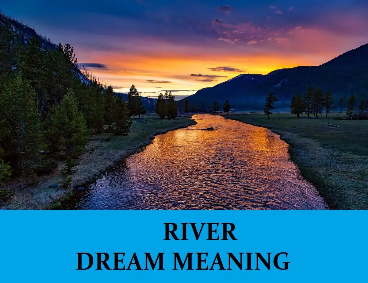 Why is the river dreaming