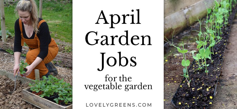 Work in the garden and vegetable garden in April