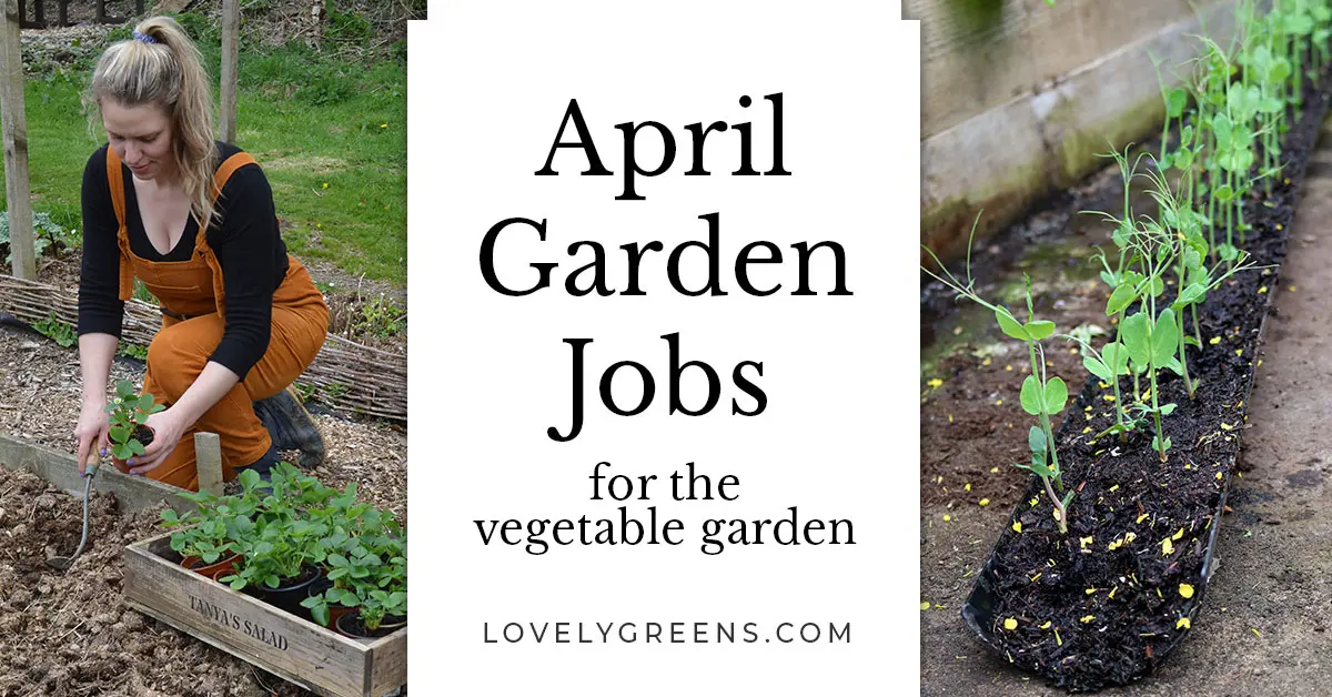 Work in the garden and vegetable garden in April