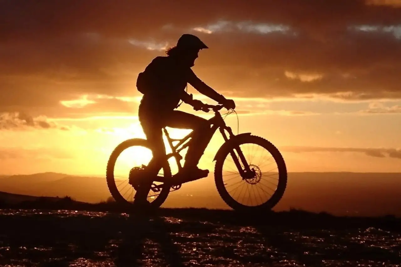 World Bicycle Day 2023: history and traditions of the holiday