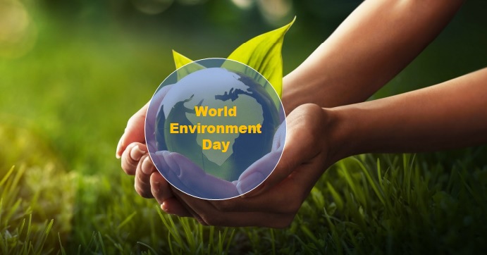 World Environment Day 2023: the history and traditions of the holiday