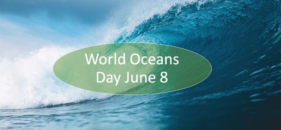 World Oceans Day 2023: history and traditions of the holiday