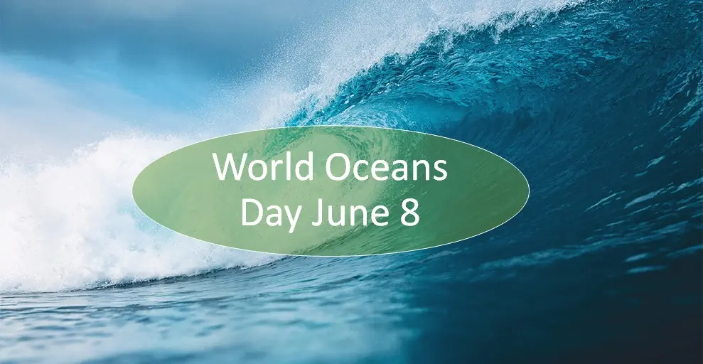 World Oceans Day 2023: history and traditions of the holiday